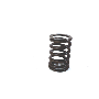 Engine Valve Spring